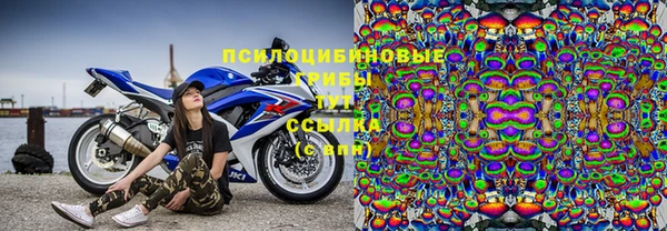 а пвп мука Алзамай
