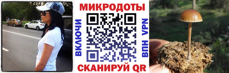 blacksprut ONION  где найти   Зеленокумск  Псилоцибиновые грибы Cubensis 